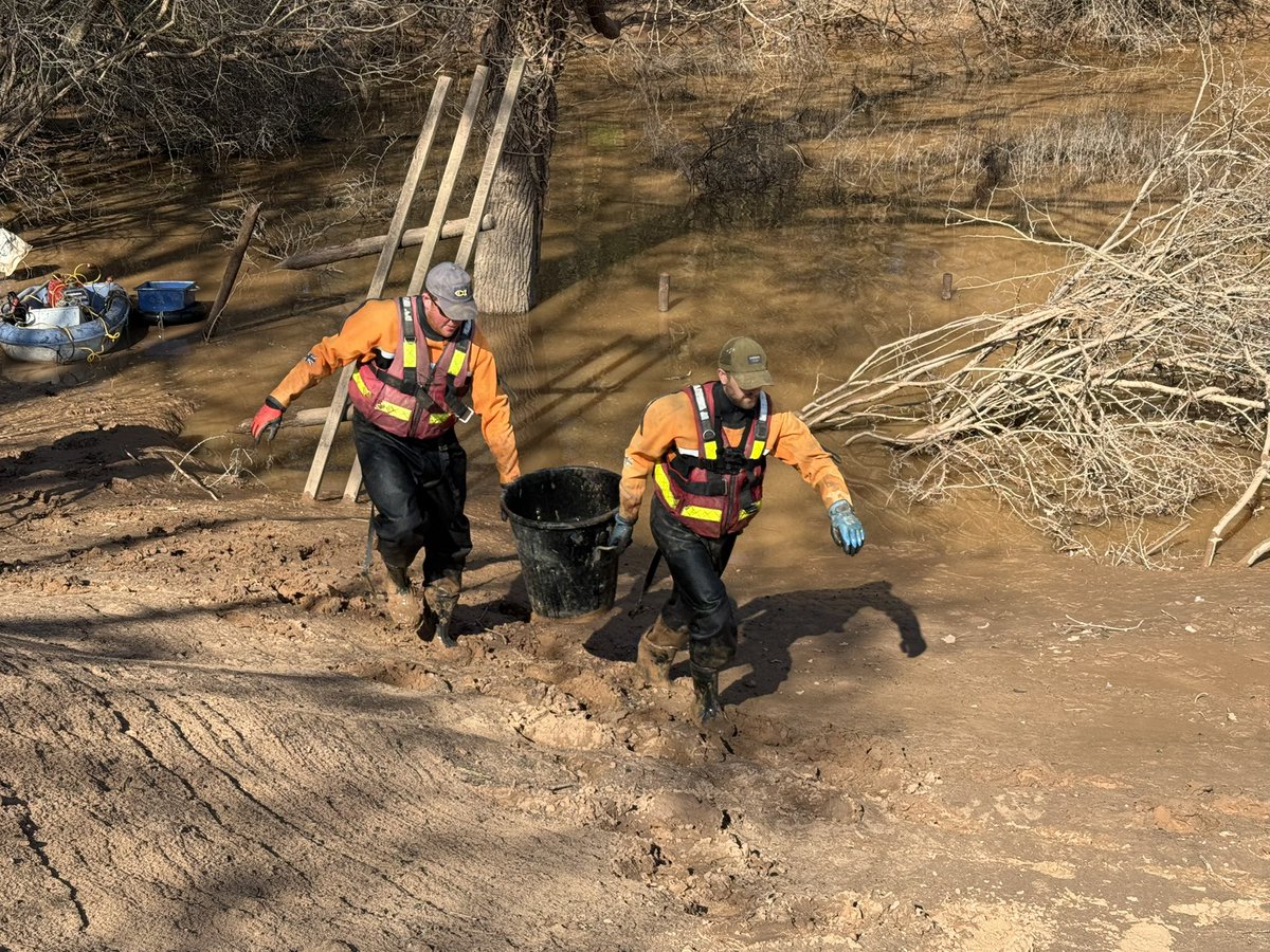 Court Above The Cut tweet media