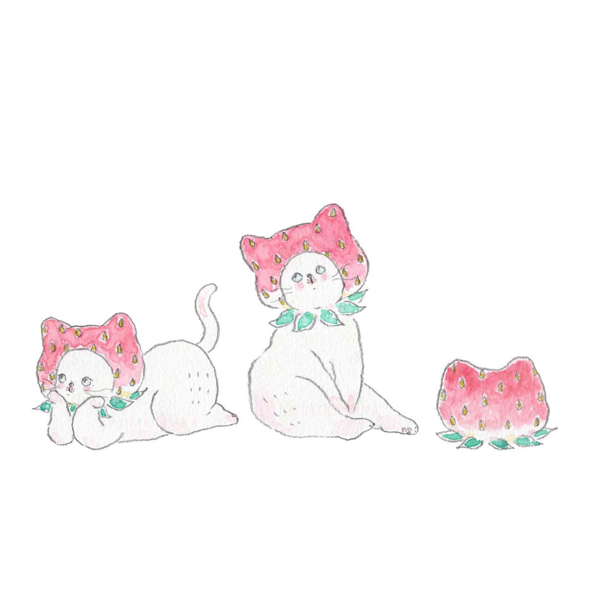 TOCOROCOMUGI トコロコムギ tweet media