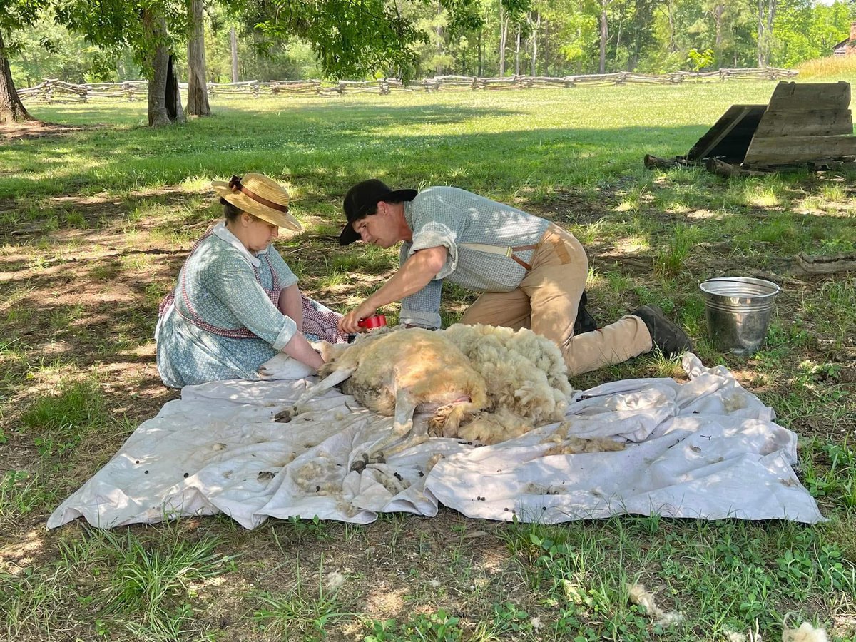 CHMuseums tweet media