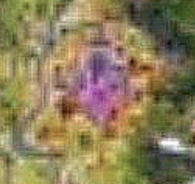 Emmanuel... tweet media