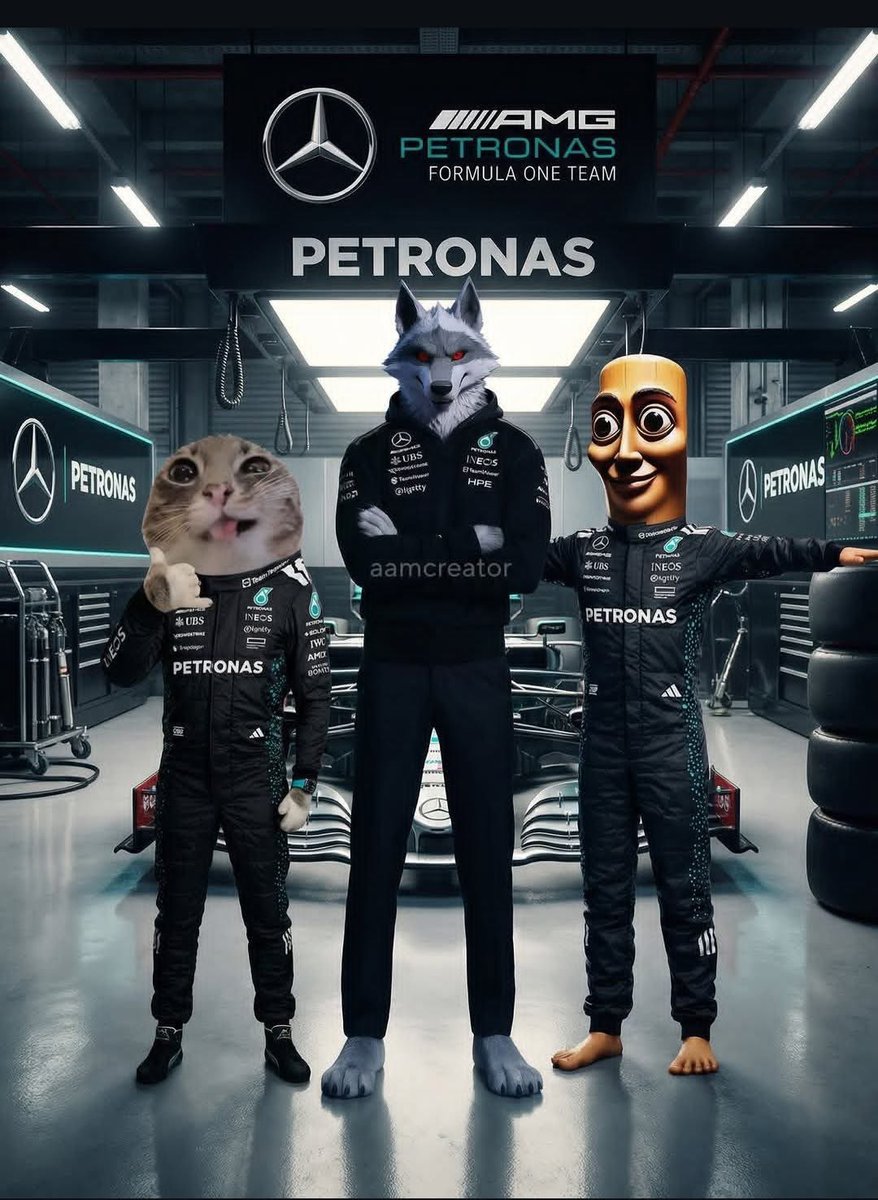 F1 TROLL tweet media