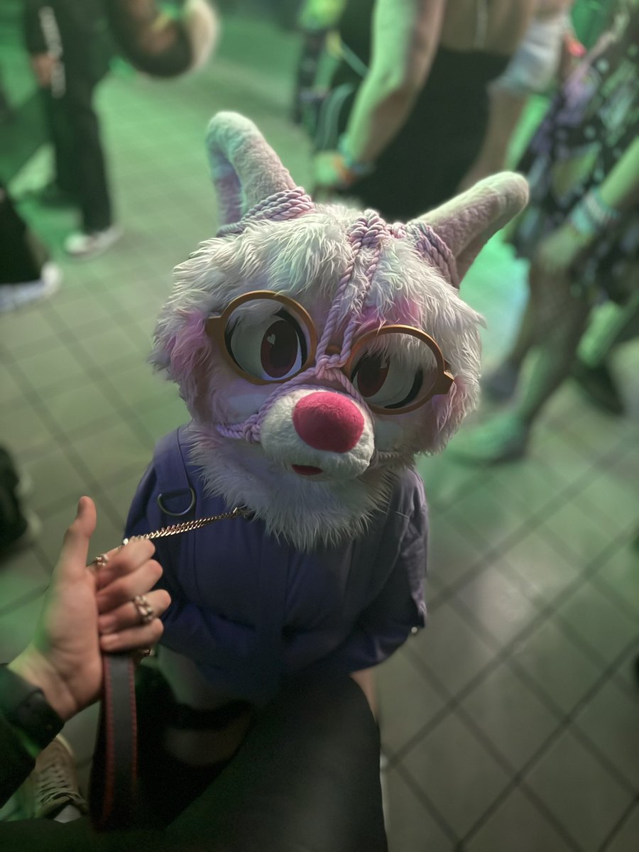 Booper Bad Dog~ 🔜FE tweet media