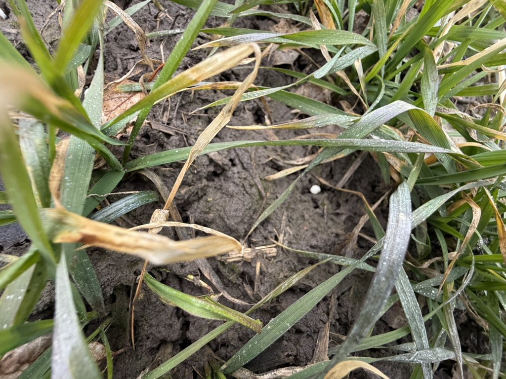 🇺🇦Yaroslav🇺🇦 tweet media