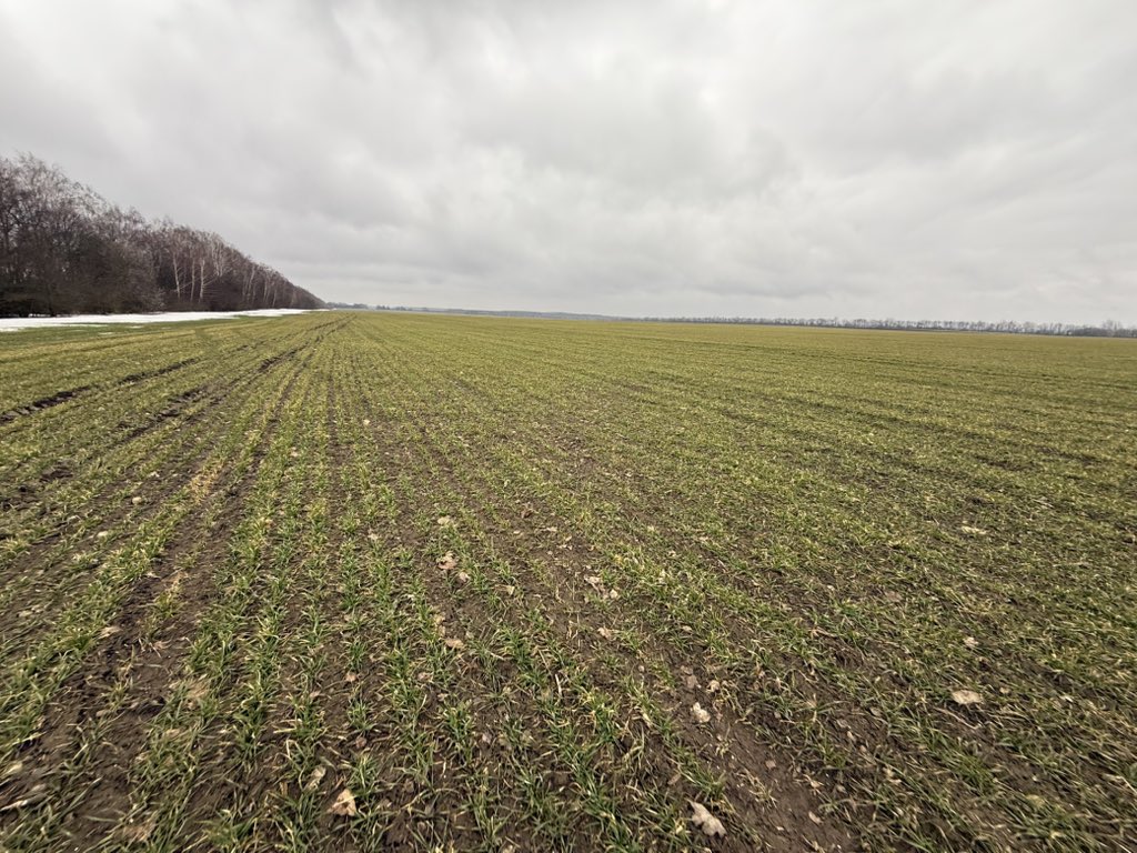 🇺🇦Yaroslav🇺🇦 tweet media