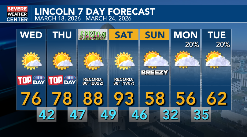 Brandon Rector tweet media