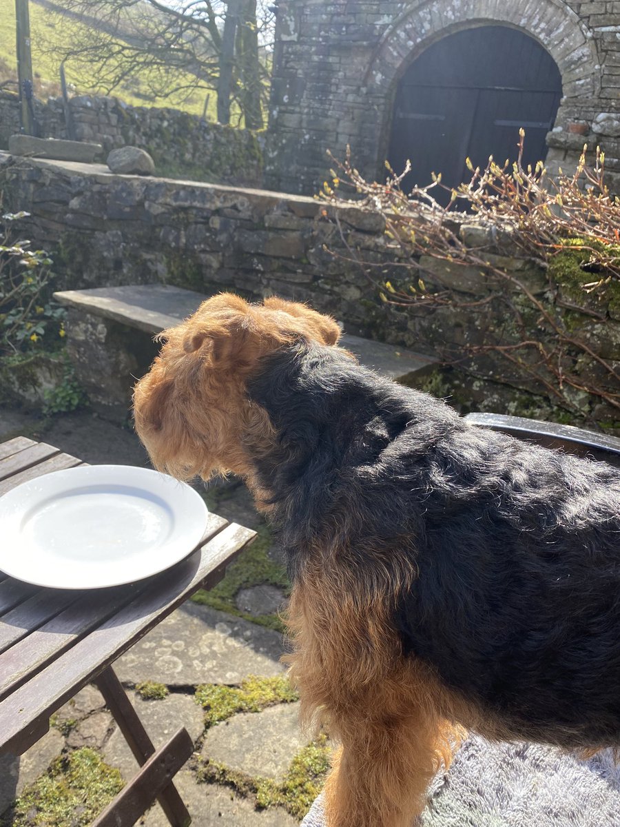 Miss Ada tweet media