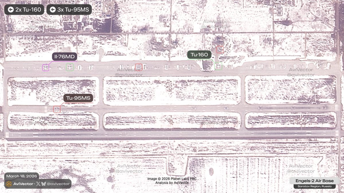 AviVector tweet media