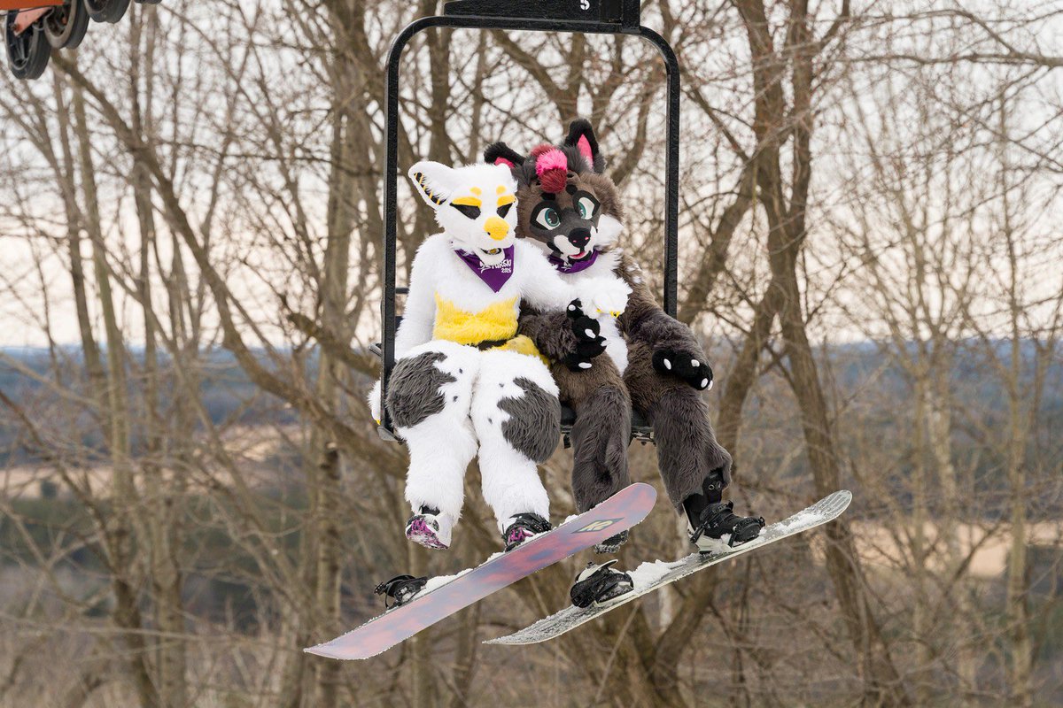 Tango Mango 🥭 tweet media