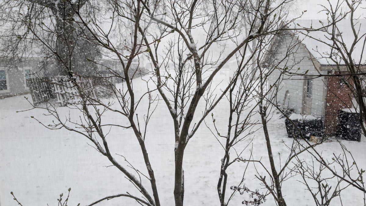 Drake Stone tweet media