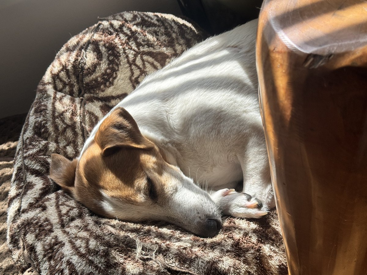 バーバラ村田 tweet media