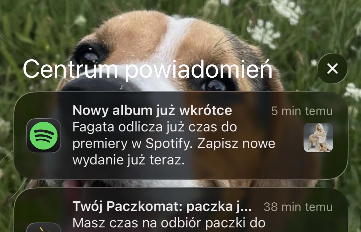 matty ﾒ𝟶 DBD SZN tweet media