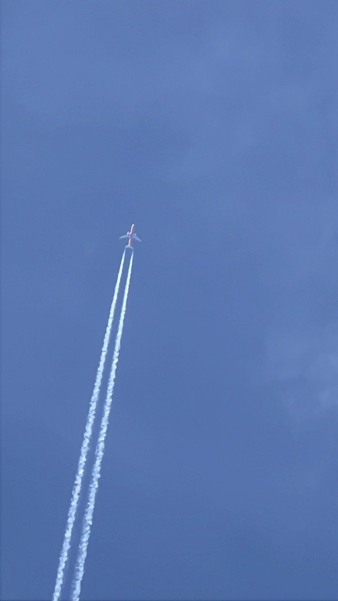 Temple Light Dance tweet media