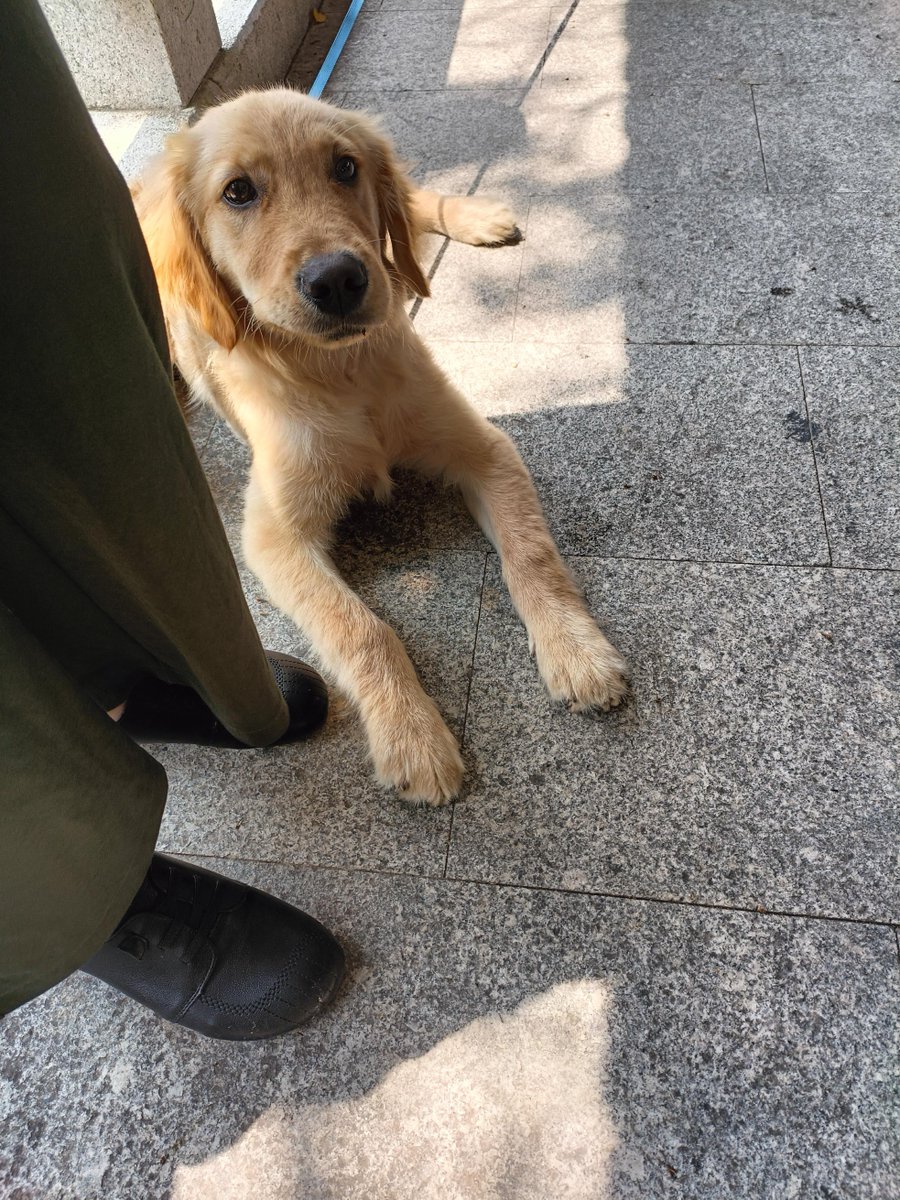 Happy&Satisfied tweet media