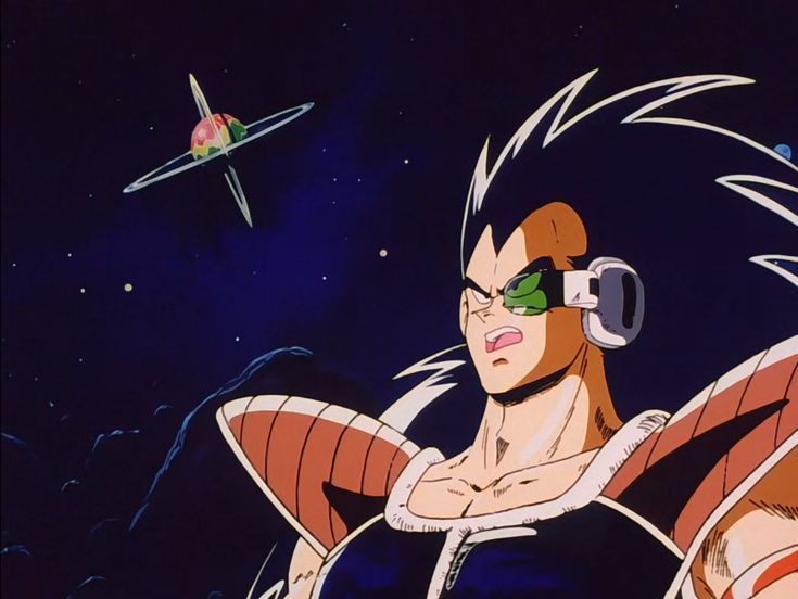 ラディッツ tweet media