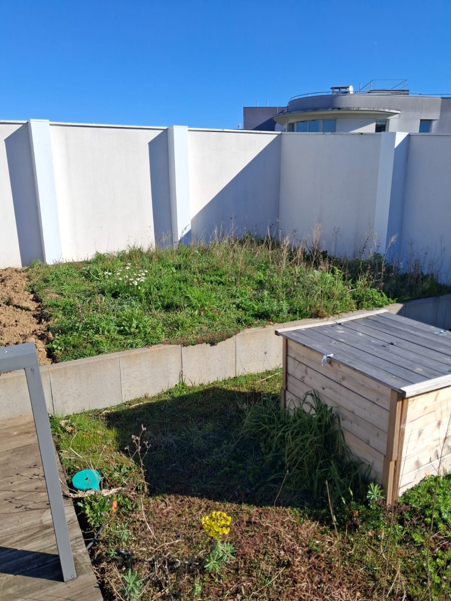 Association Action et Transition tweet media