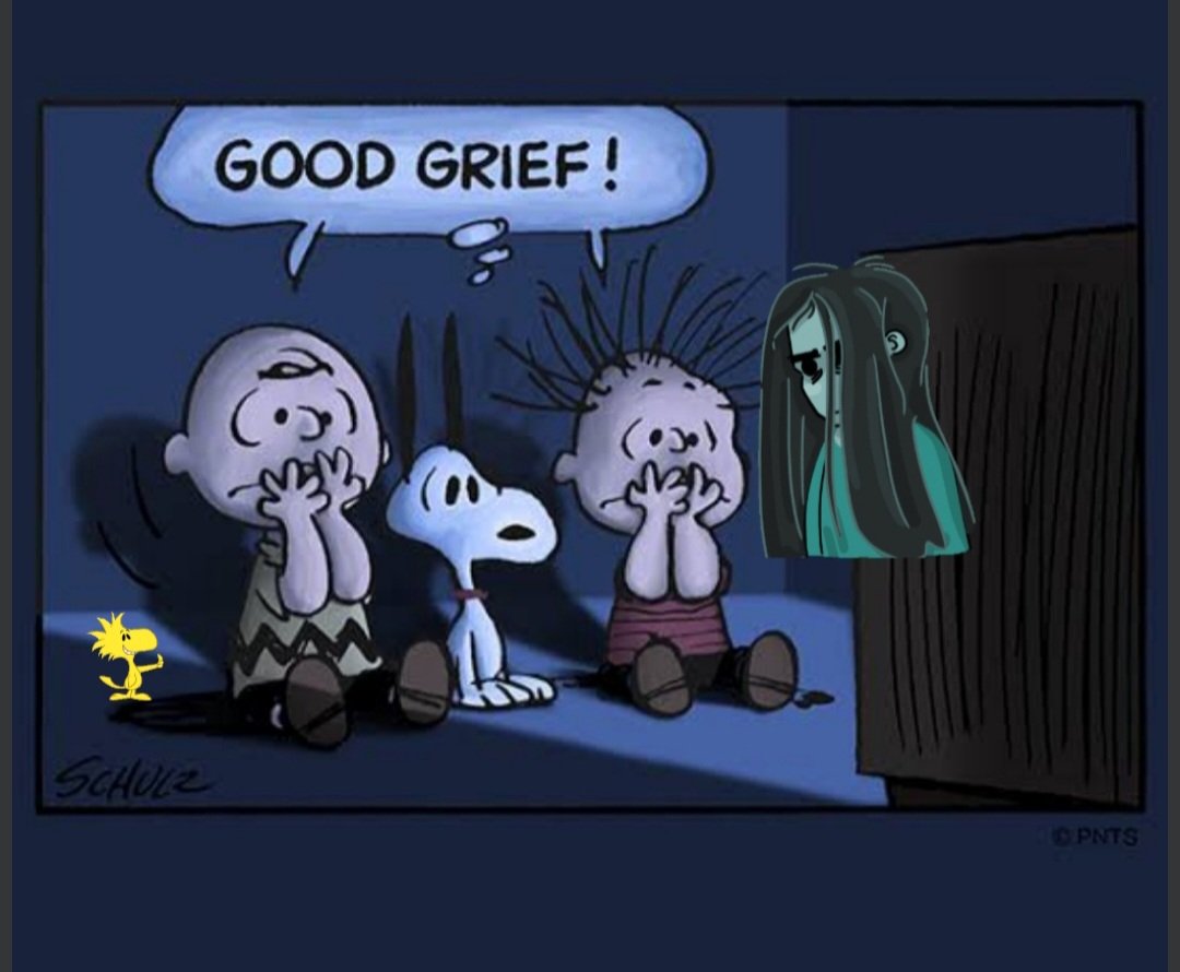 #UnDiaComoHoy #18deMarzo del 2005: se estrena en cines E.U, la película de horror y misterio "#TheRingTwo" (#ElAro 2). Dirigida por #HideoNakata. Protagonizada por #NaomiWatts, #DavidDorfman y #SissySpacek. Basada en la novela "#Ringu" de #KojiSuzuki del 1991. #ElAro2 #TheRing