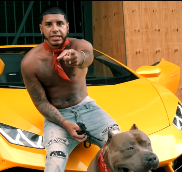 Felipe 🧊🧊🧊🇧🇷 tweet media