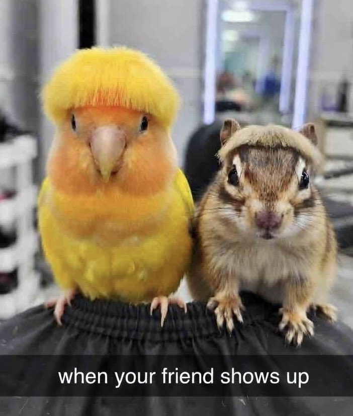 FAKEMOEE tweet media