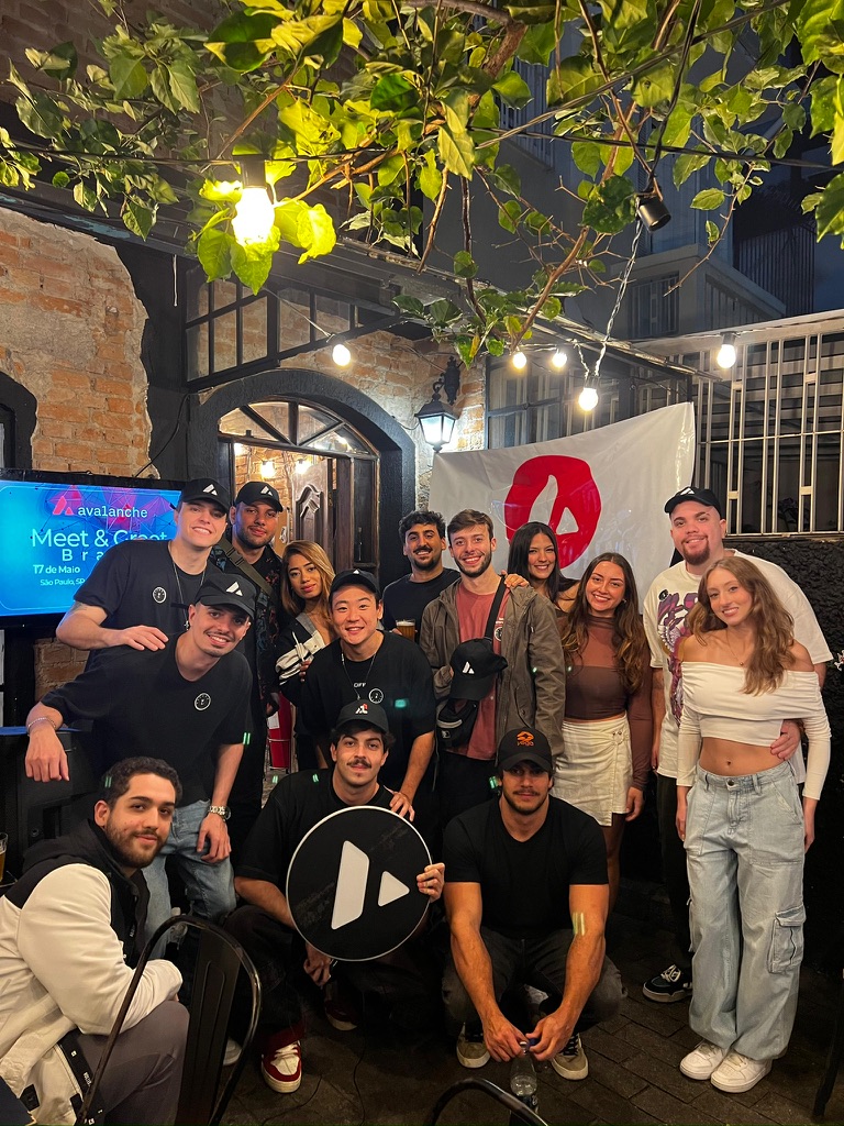 Avalanche Brazil 🇧🇷 tweet media