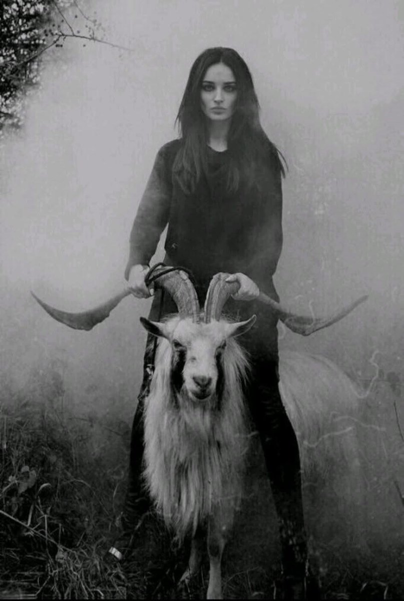 Fr. Daniel☦️ tweet media