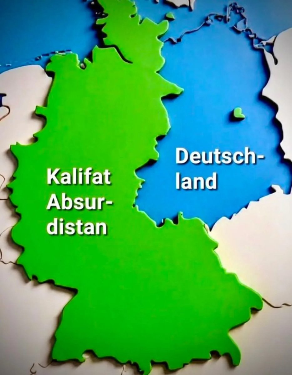 Der Kater Jimmy 😸 tweet media