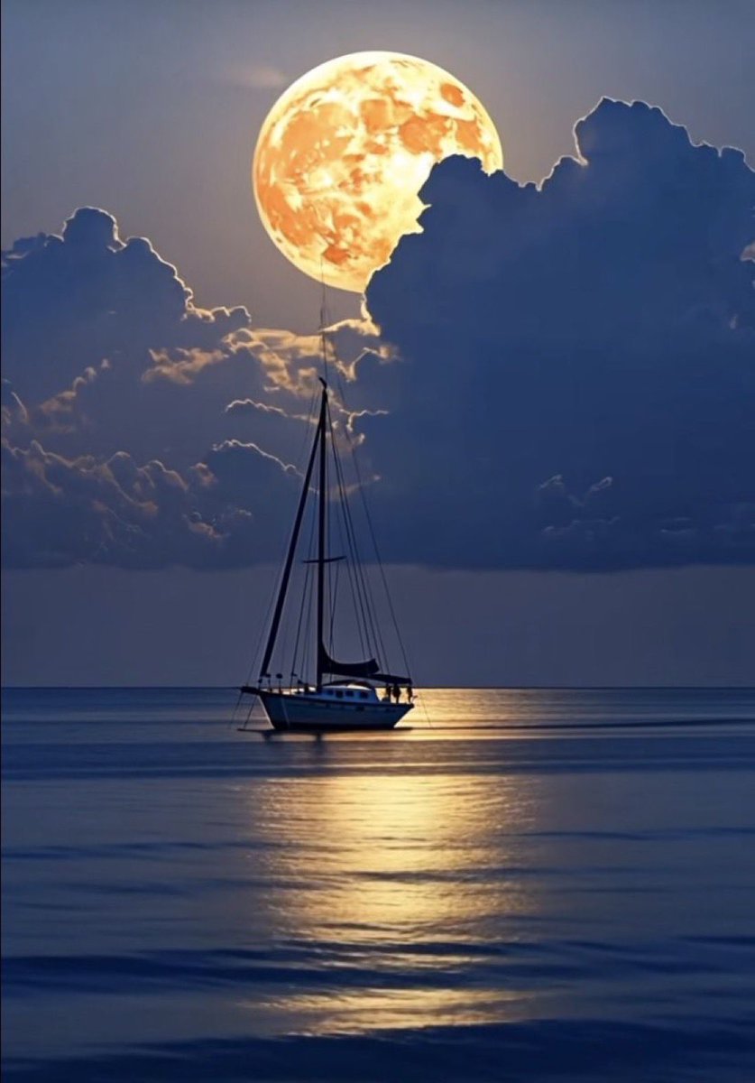 Techy Ty tweet media