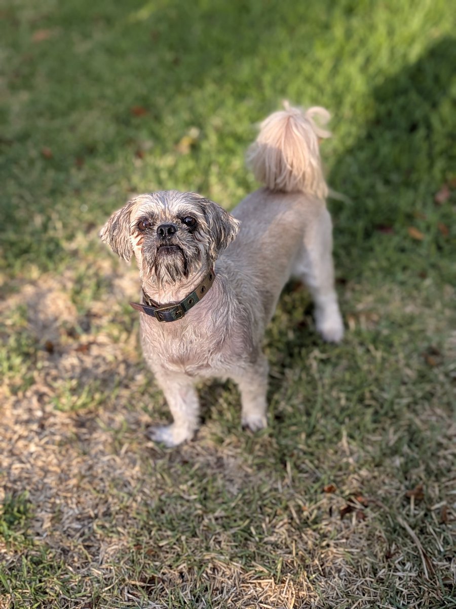 Mark McD ☠ tweet media