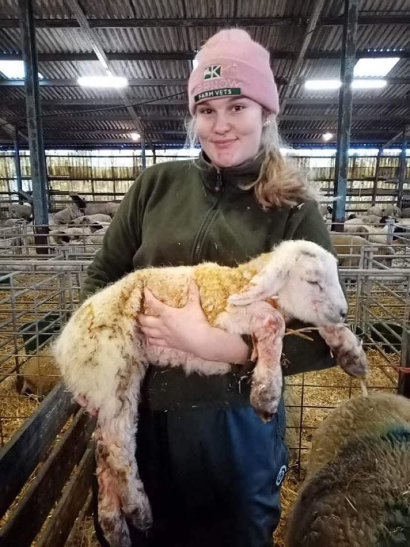 FarmingUK tweet media