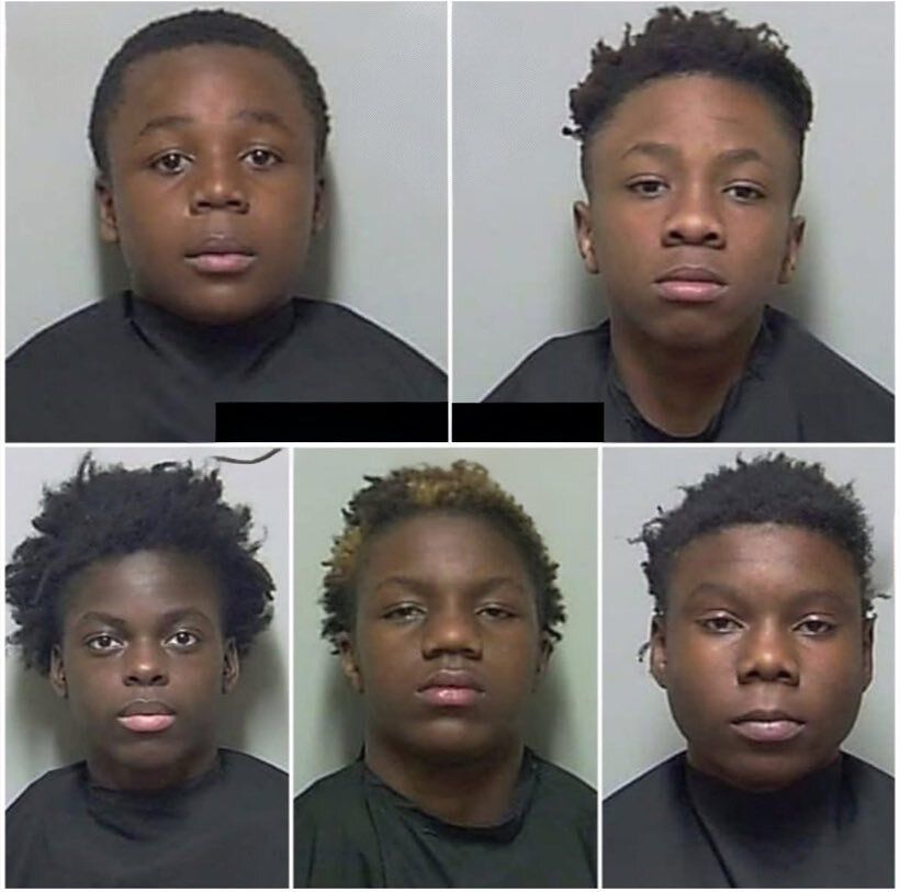 Wild Media tweet media