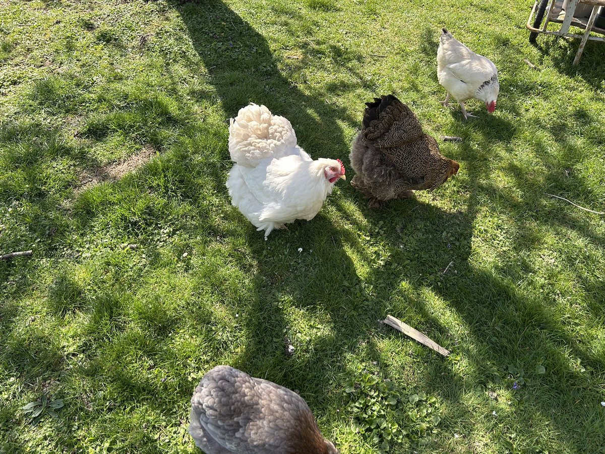 reglissemonbbdamour❤️💗💖💖 tweet media