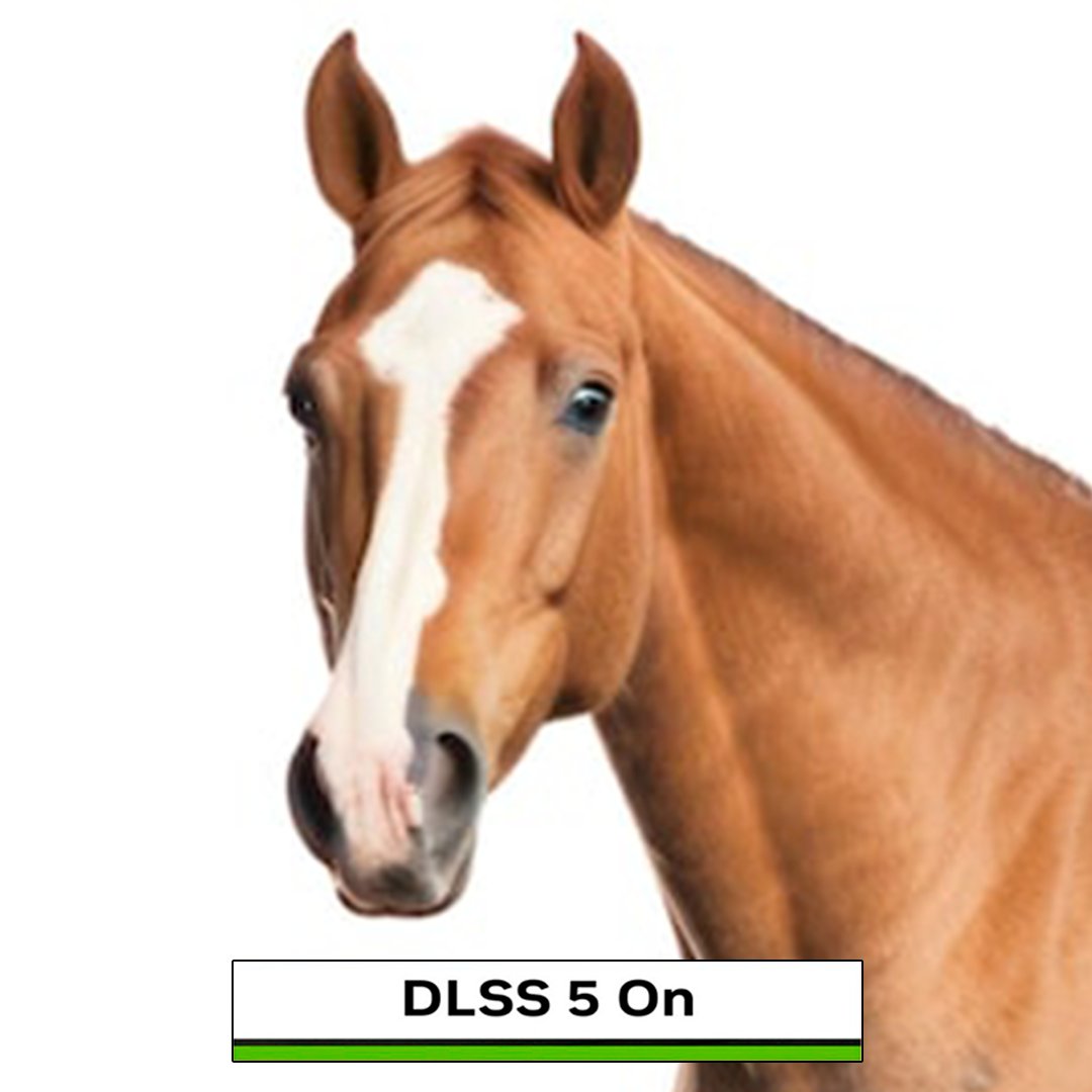 Necro ⚡️🪼 tweet media