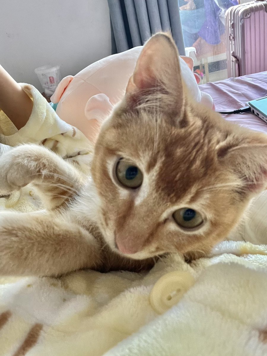 所以请看着我 tweet media