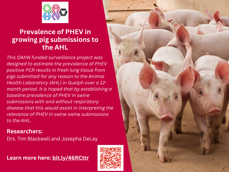 Ontario Animal Health Network tweet media