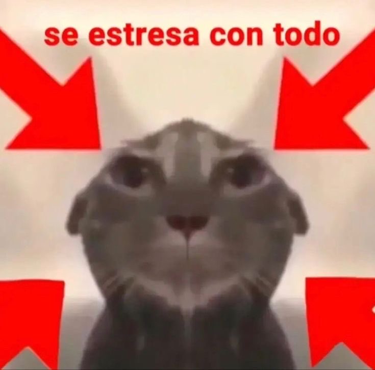 criSpin 🌱 tweet media