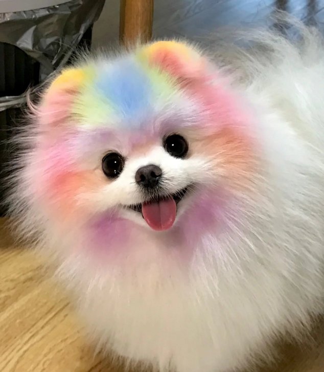 Purple Haze tweet media