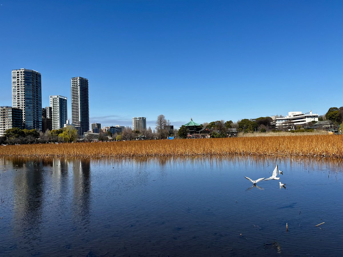 japantotheworld.com tweet media