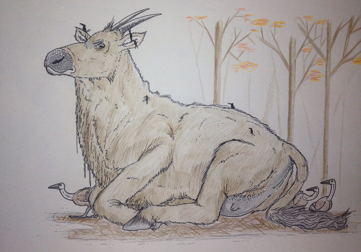 Sly 🏴󠁧󠁢󠁷󠁬󠁳󠁿 tweet media