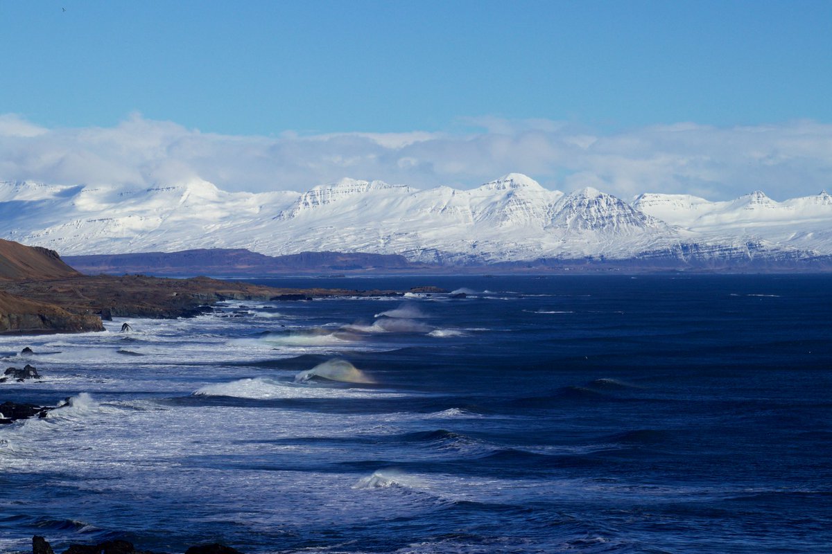 Kari Black tweet media