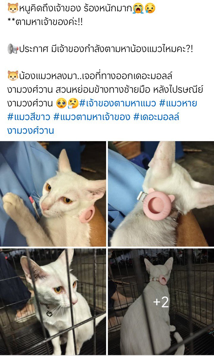 เซนหนี tweet media