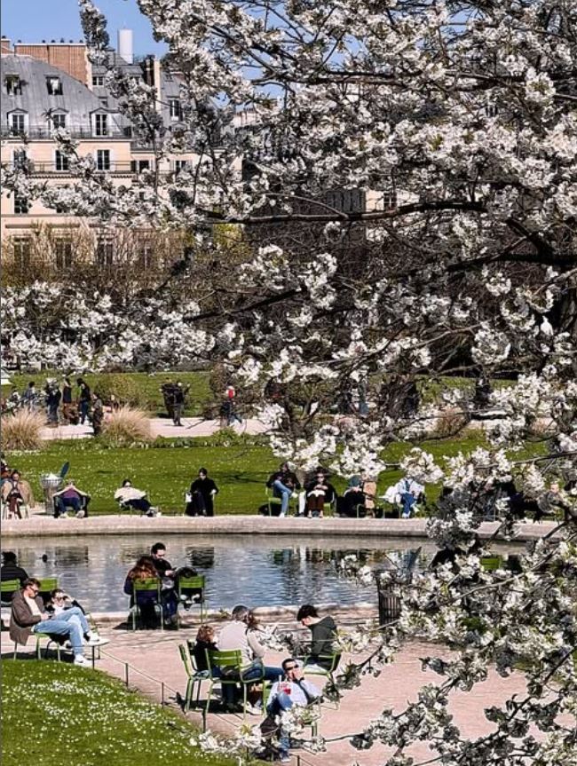 Vacation In Paris 🗼 tweet media