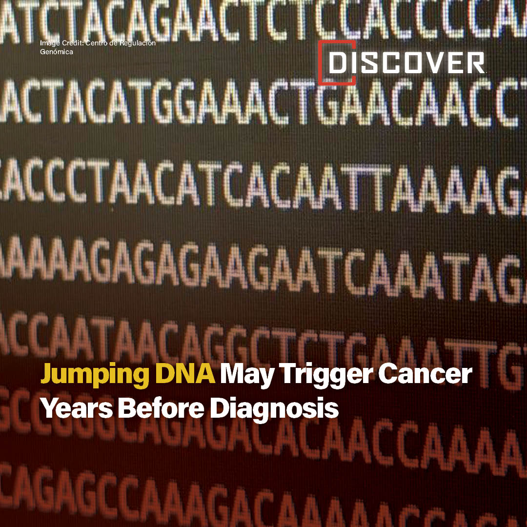 Discover Magazine tweet media