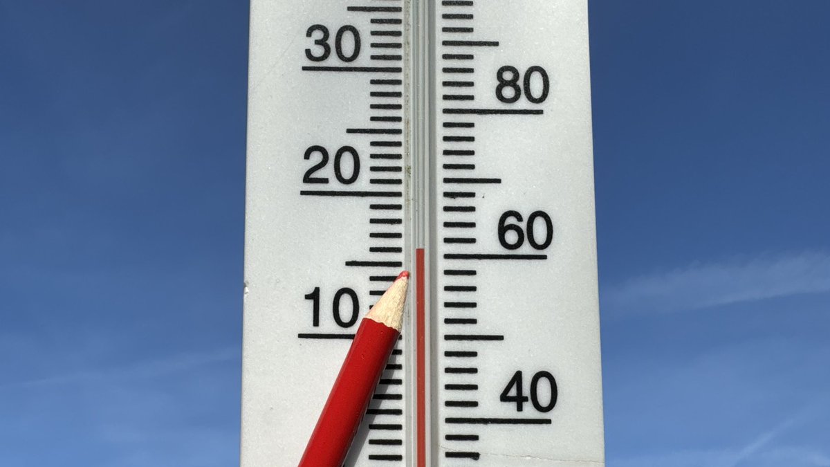 ➡️ Robert de Vries tweet media