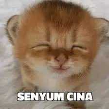 َ🪂 𝐵𝐼𝐸𝐿 ࣪★ @𝙧𝙚𝙖𝙡𝙜𝙤𝙤𝙙𝙜𝙚𝙨𝙩 tweet media