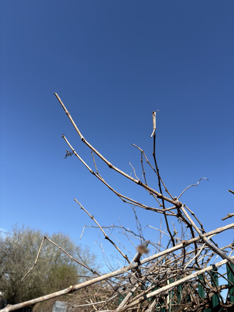 Andy Weltch tweet media