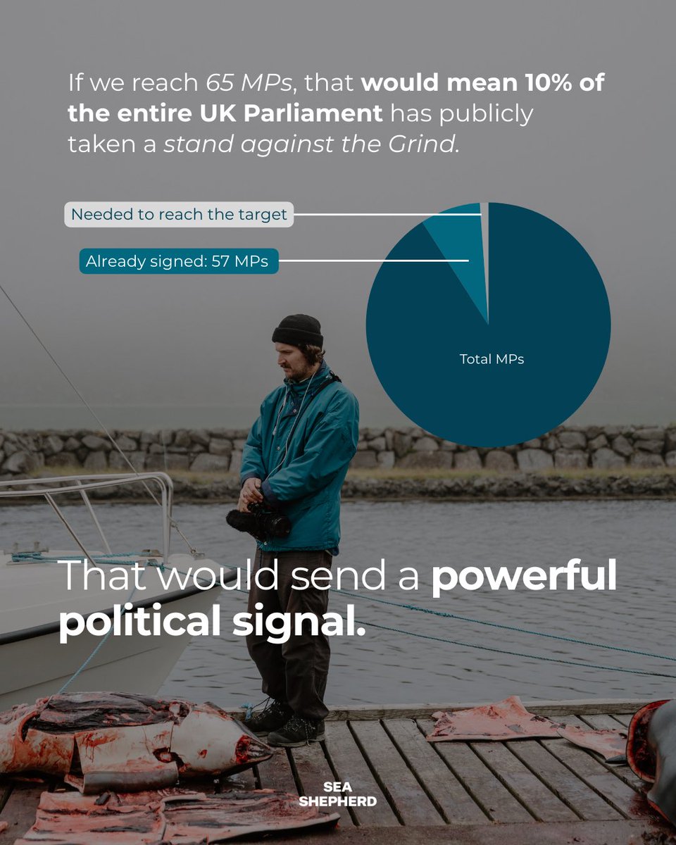 Sea Shepherd US tweet media