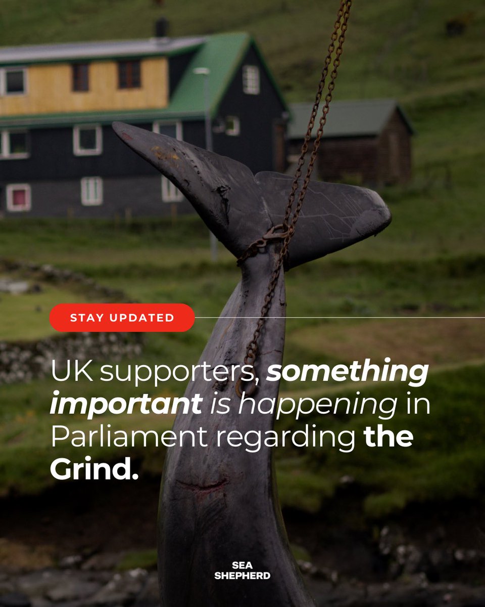 Sea Shepherd US tweet media