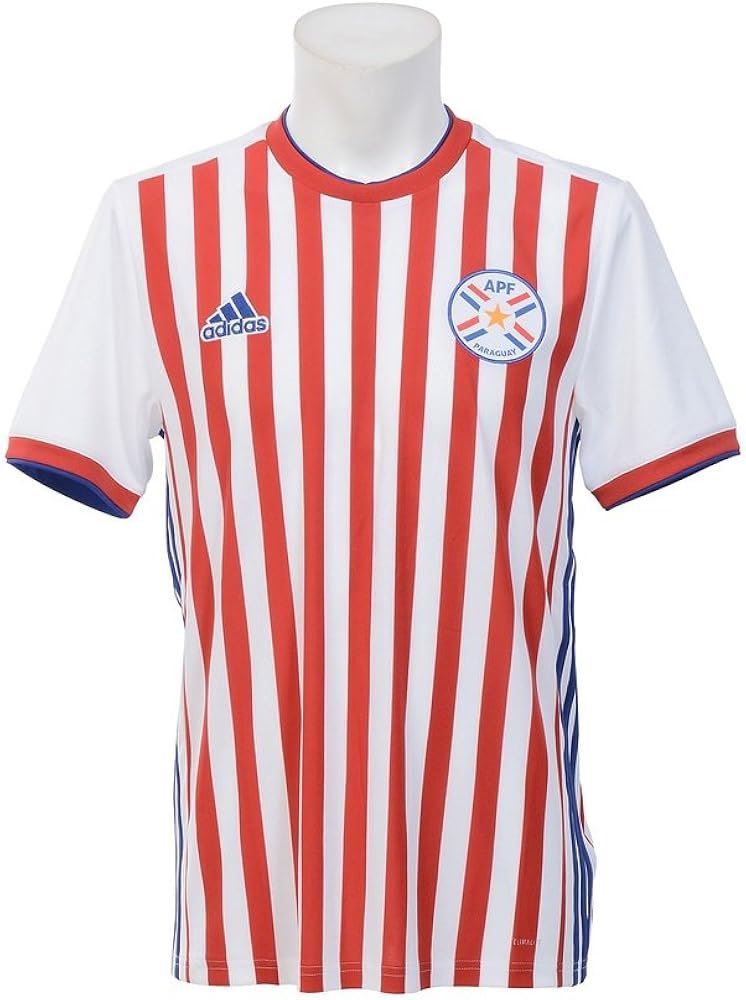 Marco Ortiz tweet media