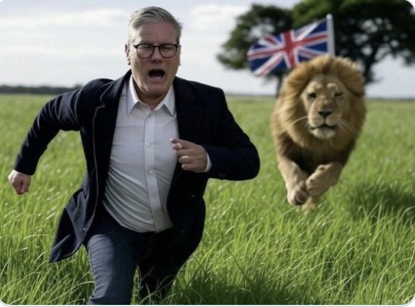 N Ecc 🏴󠁧󠁢󠁥󠁮󠁧󠁿🏴󠁧󠁢󠁥󠁮󠁧󠁿🏴󠁧󠁢󠁥󠁮󠁧󠁿 tweet media