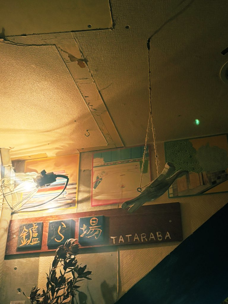 nemnem_zzz23's tweet image. セトリバグ🙏
仕事終わり爆速で名古屋に向かった甲斐あり。
ずっと行きたかった鑪ら場にも行けたことが何よりも嬉しい。
STORY TELLERの弾き語りほんとに好き。

#HalftimeOld
#THREEOUT