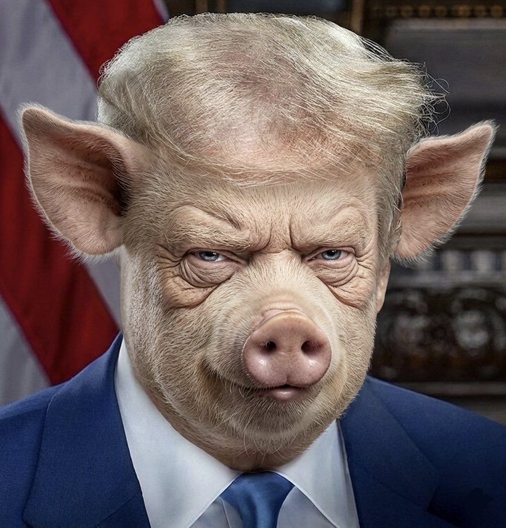 CROWS WATCH tweet media